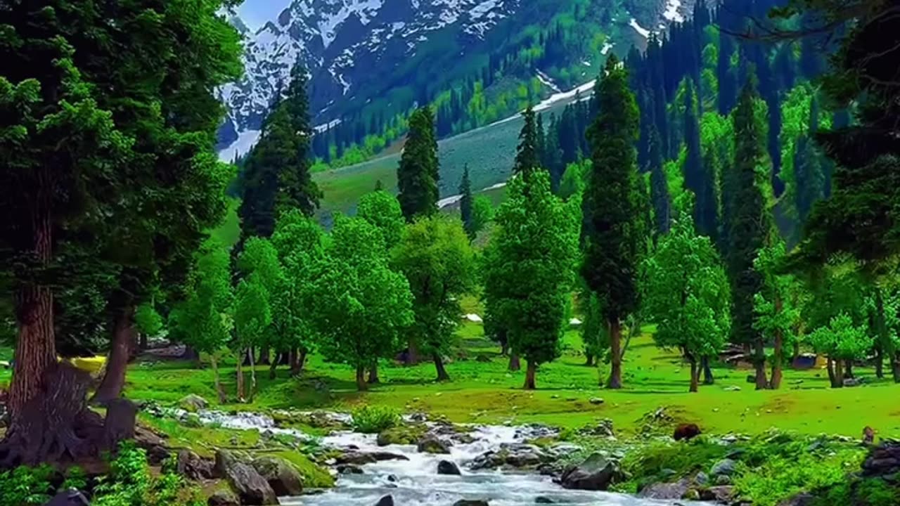 Nature’s Voice Is the Loudest in Silence"