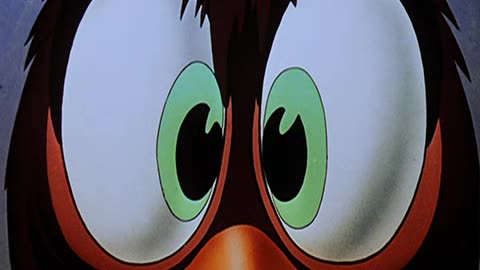 Woody Woodpecker and Friends - 1948x09 - Wild and Woody!
