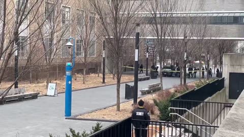 Four Pedestrians Injured in Hit-and-Run on Toronto Metropolitan University Campus