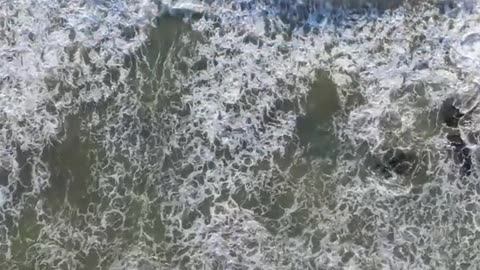 Daily Horoscope | Cancer 🌟