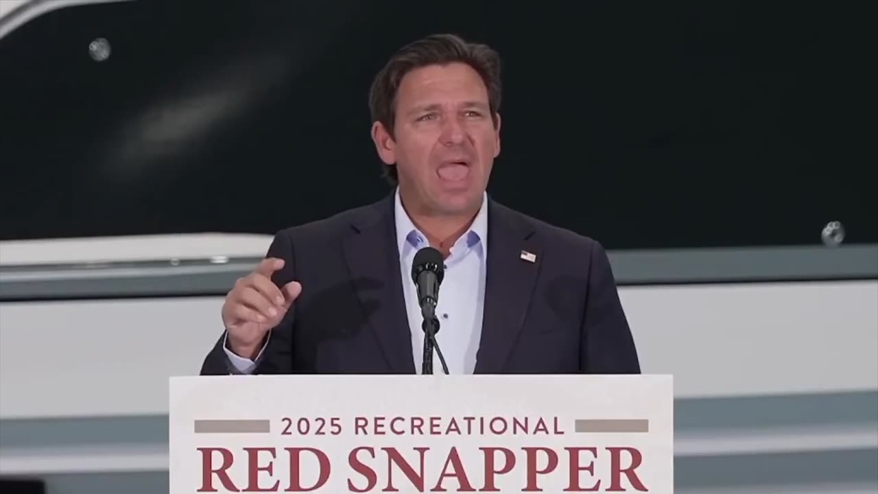 Ron DeSantis flips out at protester