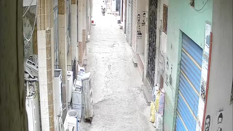 Camera1_elsayed_elsayed_20250128141420_20250128160154_211314575