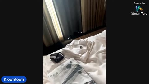 I'm tired of being short