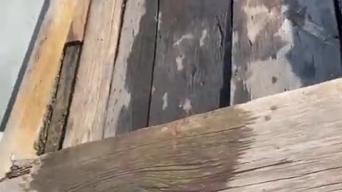 😂👽 I Believed I Could Fly, But This is EPIC! | FunFM