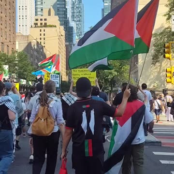 TOMORROW in NYC: "ALL EYES ON GAZA. Sanction Israel. Arms embargo now."