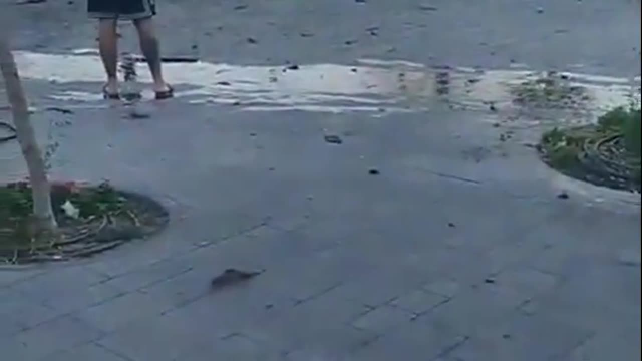 A drone launched to Eilat crashed near a hotel in the city