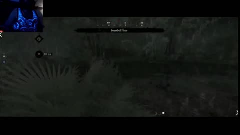 Hunt showdown, just gaming come say hello!