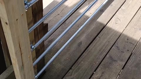 Cheap Easy Porch Gates for Daisy