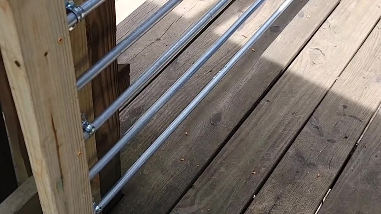 Cheap Easy Porch Gates for Daisy