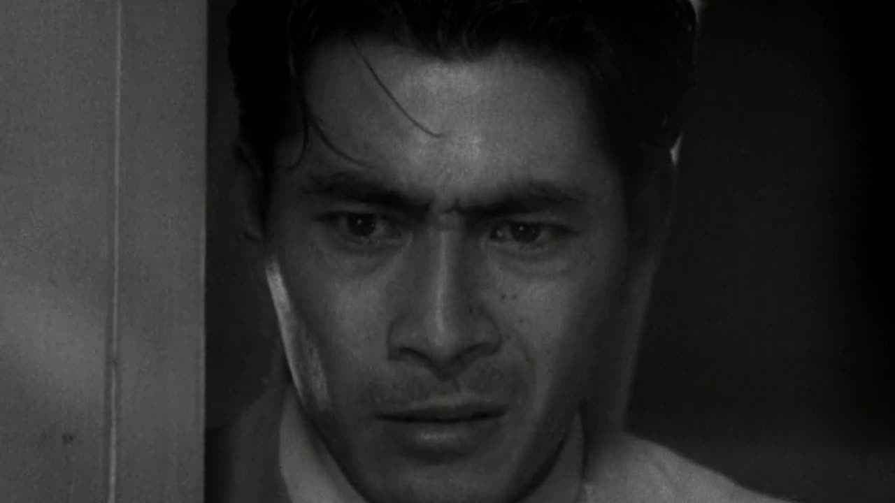 Stray Dog (1949)