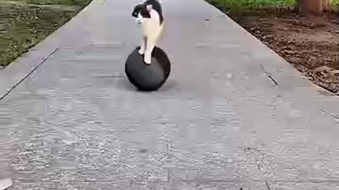 Acrobatics