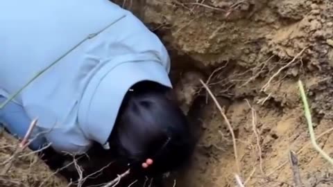 🤣🌱 The Root Rescue Mission You Never Expected! My Root People Need Me | FunFM