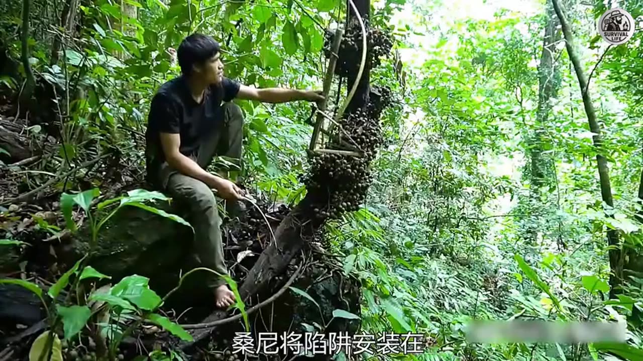 Rainy Night Survival Work with EDM Remix