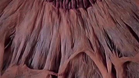 A closer look at the human eye — 1000× zoom
