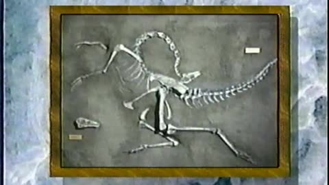 Pagan Invasion - Vol. 6 - Evolution Hoax of the Century (1991) VHS Rip