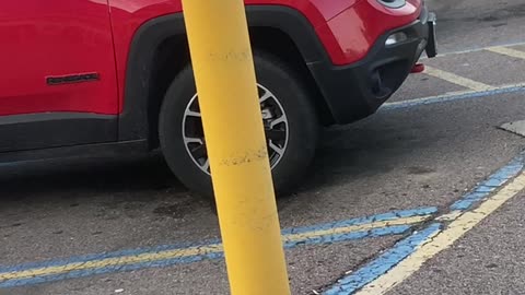 Do you see the insanity around here?