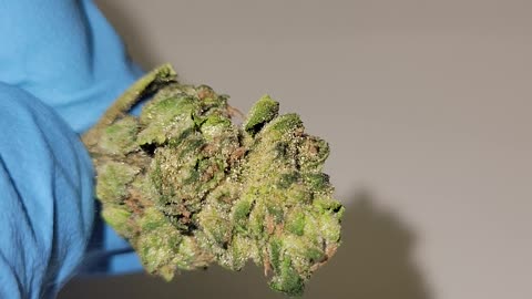 Jet Fuel THC Flower Ounces