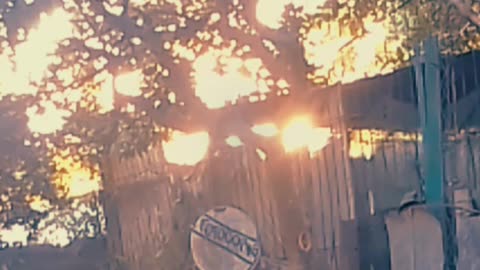 Luna en el cielo, el sol se va y los perritos activos - Tacuarembó 03/11/2025