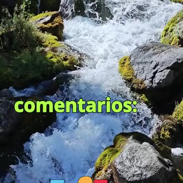 😊 203 EL UNIVERSO RESPONDE A TU VIBRACIÓN 😊