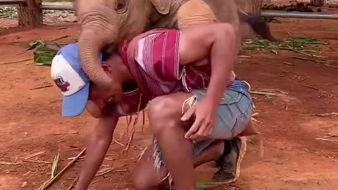 🐒😂 Take Me on Your Back... I'm Light, Believe Me! | FunFM