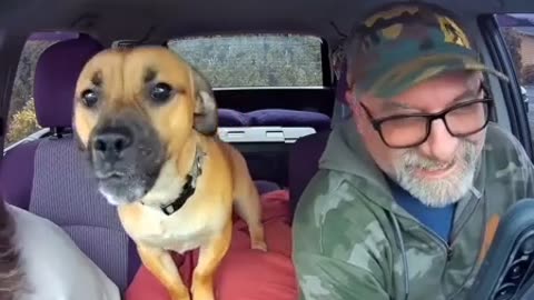 🤣🐶 Bark or Snack? The Cat's Choice! | FunFM