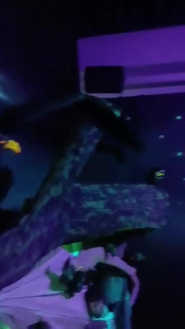 Part 21b. I need to borrow this scarecrow for April Fools Day.