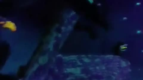 Part 21b. I need to borrow this scarecrow for April Fools Day.