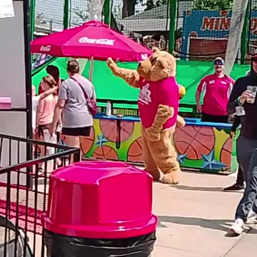 Boji Bear Caught On Camera