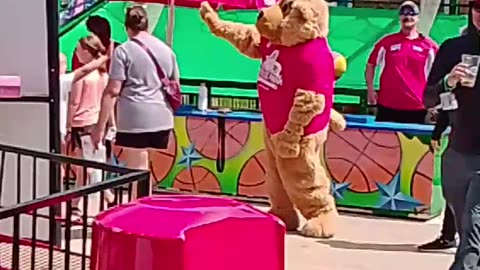 Boji Bear Caught On Camera