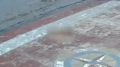 Passerby saves choking cat in street