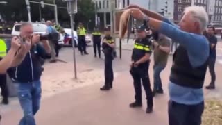 In Netherlands they pour pig's blood into the Quran.