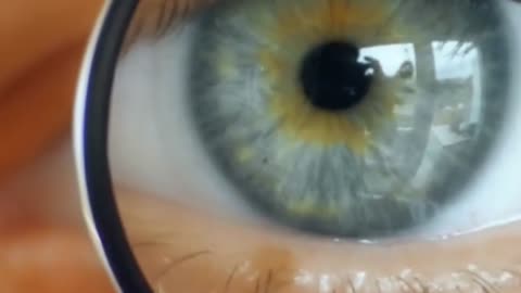 Secrets You Were Never Meant to Know