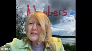 Numbers 15, Laws for Offerings – Unintentional Sins, Sabbath Breaker, Tassels for Remembrance