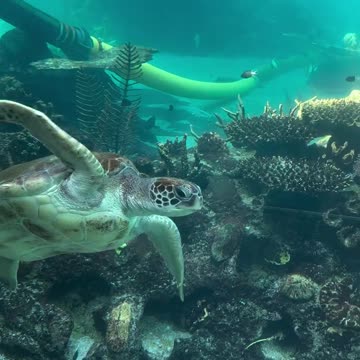 Beautiful views in Australia 🇦🇺