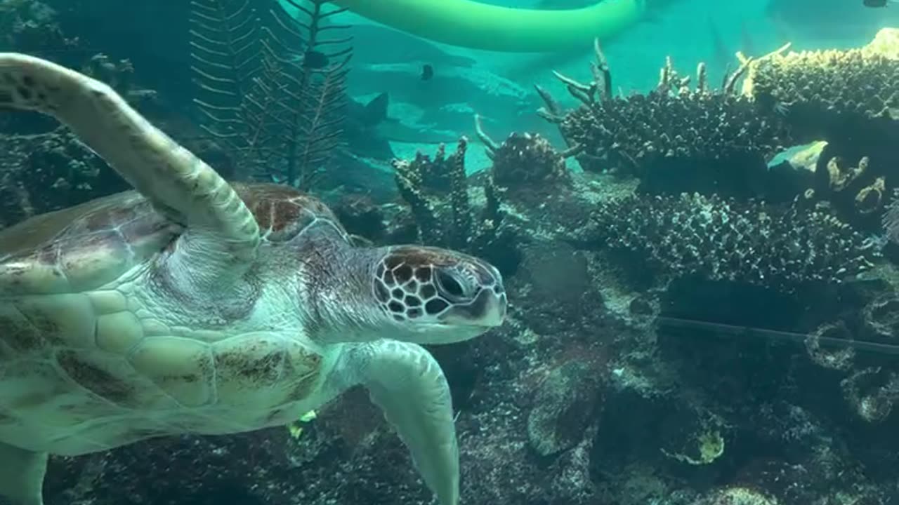 Beautiful views in Australia 🇦🇺