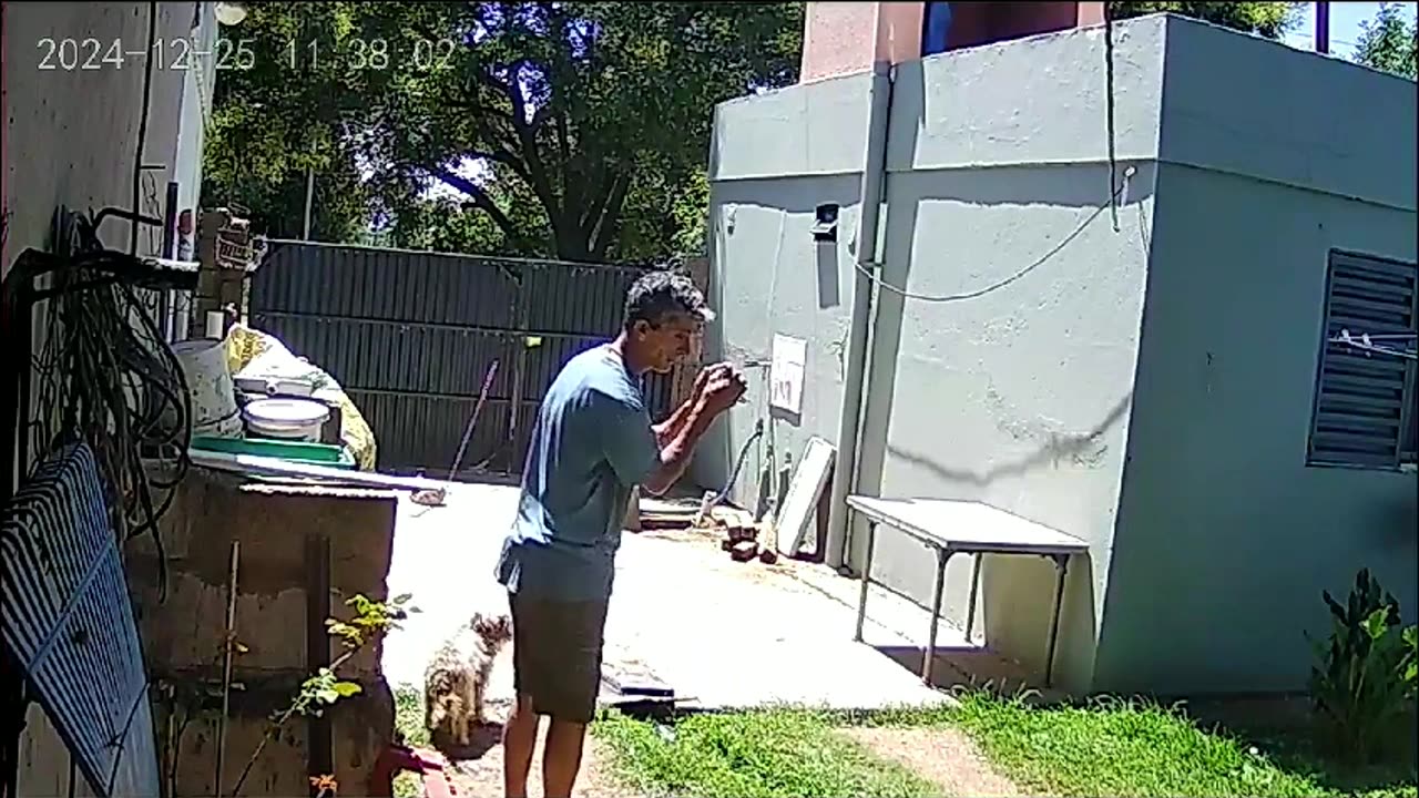 Wild Parrot Flies Into Man's Hands
