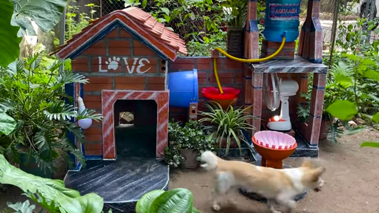 ❤️ DOG HOUSE TECHNOLOGY ❤️Your Dog is Happy// Dog House Idea..