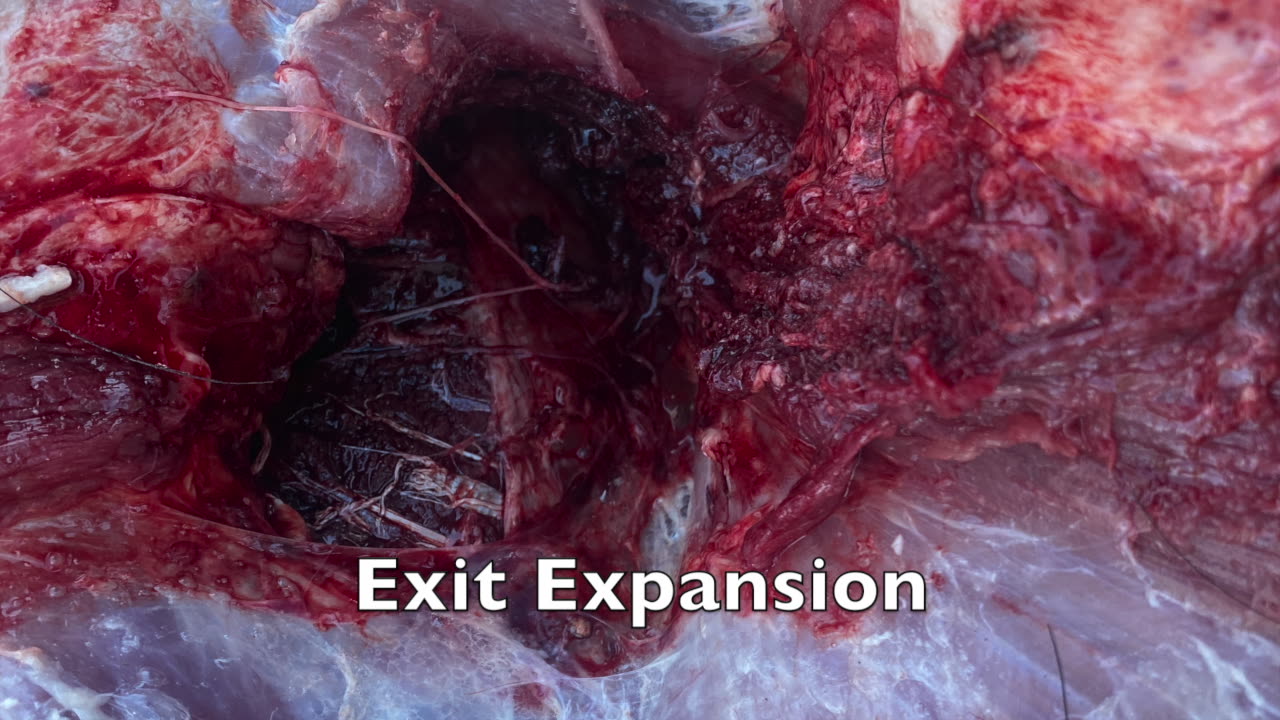 22 Creedmoor AI 74HHT Hog Hunt