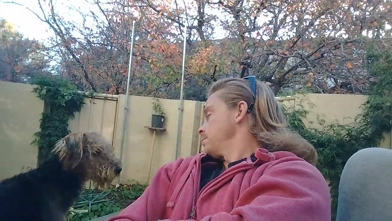 Day 81 - 2 x chats to investors.