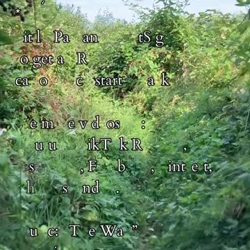 Opportune Destiny | Path and Tarot Reading