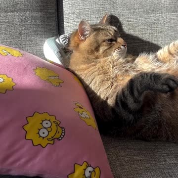 Massaging like a boss