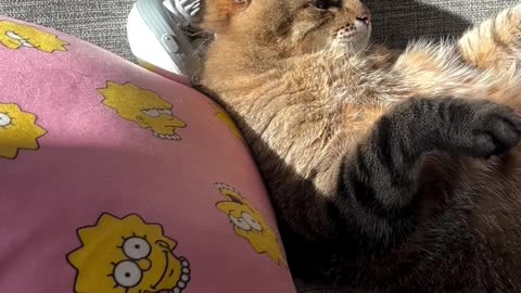 Massaging like a boss