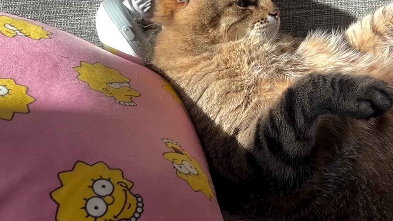 Massaging like a boss