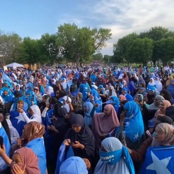 Minnesota needs ICE.