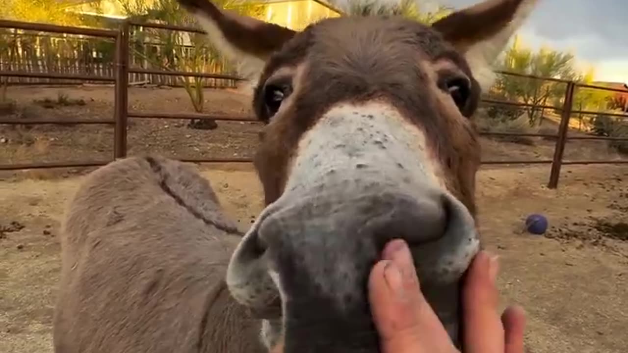 I present to you.. the first ever rainbow squish 😍