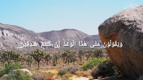 Surah_Yasin___with_Urdu_Translation___سورۃ_یٰسٓ___Mishary_Rashid_Alafasy(720p) 
