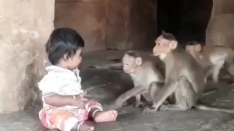 Monkeys came to visit his little friend