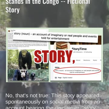 Fact Check: Chimps Are NOT Wearing Masks When Raiding Fruit Stands In the Congo -- Fictional Story