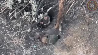 Feuding Russian Lovers