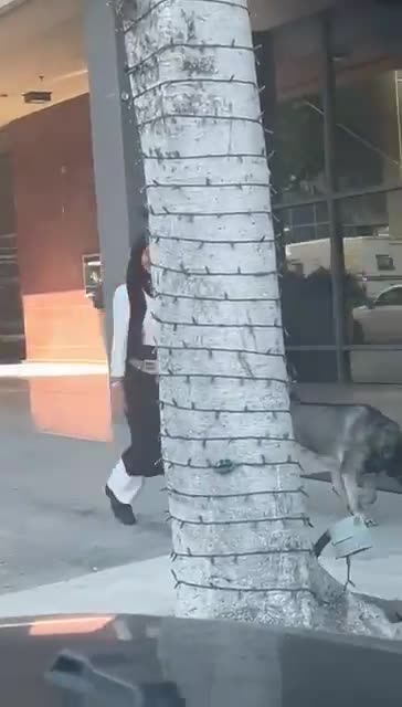 A woman in Beverly Hills wearing a hijab does the Nazi salute.